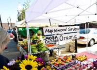 Downtown Stevens Point Farmers Market 2019